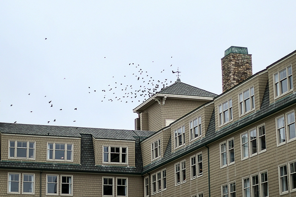 Fahime Hoseini | Category Street Photography