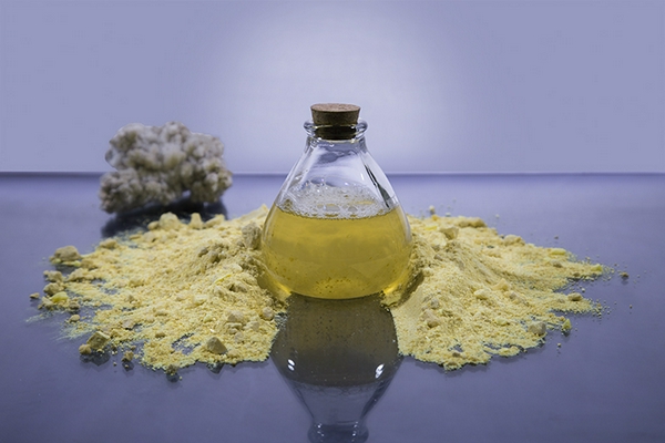 Fahime Hoseini | Category Advertising